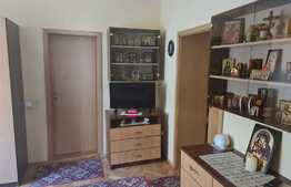 Casa familiala, 360 mp, teren 430 mp, terasa, Calea Poplacii