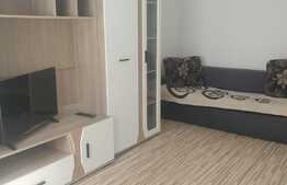 Garsoniera 24mp, zona Stefan cel Mare