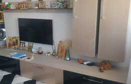 Apartament de 2 camere, 50mp, pivnita, zona Ciresica