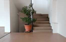 Casa 7 camere, 320 mp, mobilat/utilat, zona Turnisor