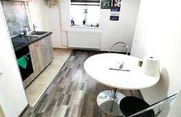 Apartament 2 camere, 47 mp, mobilat/utilat, pe Bulevardul Victoriei