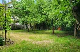 Casa deosebita, teren de 1115 mp, in cartierul Sub Arini