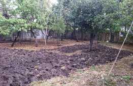 Casa deosebita, teren de 1115 mp, in cartierul Sub Arini