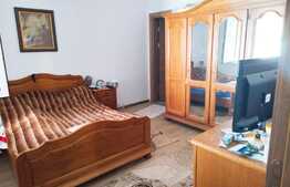 Casa individuala, 345 mp utili, curte 540 mp, gradina 960 mp, Turnisor