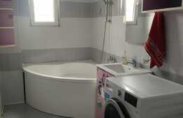 Apartament de 2 camere, 56 mp, decomandat, Terezian