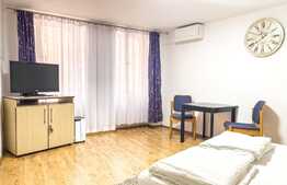 Garsoniera 38 mp, parter, Ultracentral