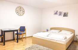 Garsoniera 38 mp, parter, Ultracentral