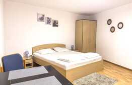 Garsoniera 38 mp, parter, Ultracentral