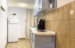 Garsoniera 38 mp, parter, Ultracentral