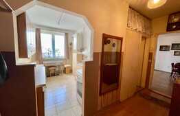 Apartament 2 camere, 47mp, semidecomandat, zona Terezian 