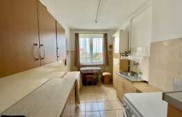 Apartament 2 camere, 47mp, semidecomandat, zona Terezian 