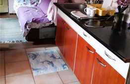 Casa individuala, 90 mp, 550 mp teren, Gura Raului