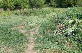 Casa individuala, 2 camere, 60mp, gradina 2500 mp, satul Glâmboaca