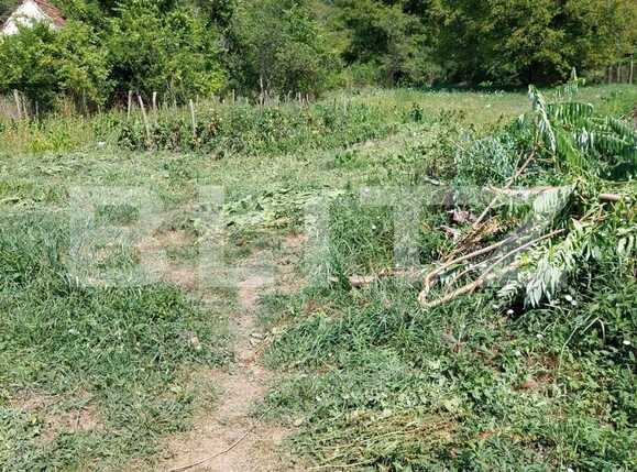 Casa de vânzare 2 camere Avrig - 94588CV | BLITZ Sibiu | Poza9