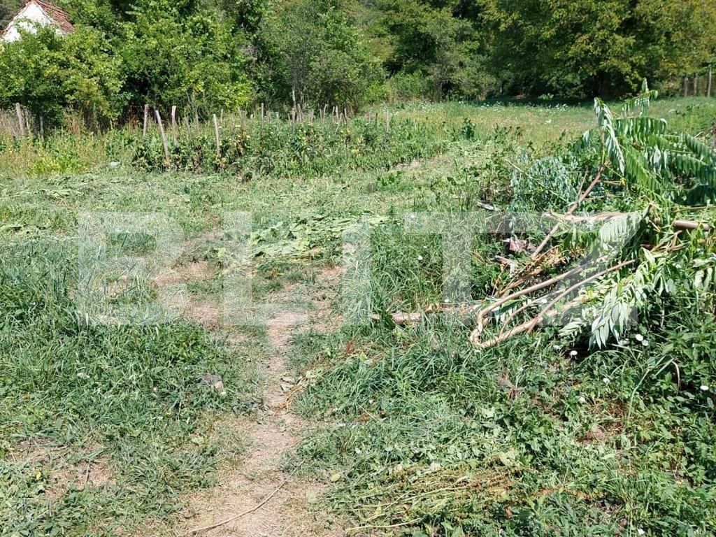 Casa de vânzare 2 camere Avrig - 94588CV | BLITZ Sibiu | Poza9