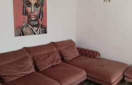 Casa complet renovata, 170 mp, 500 mp teren, zona Rahovei