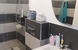 Casa complet renovata, 170 mp, 500 mp teren, zona Rahovei