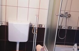 Casa complet renovata, 170 mp, 500 mp teren, zona Rahovei