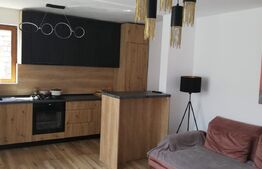 Casa complet renovata, 170 mp, 500 mp teren, zona Rahovei