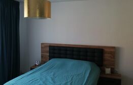 Casa complet renovata, 170 mp, 500 mp teren, zona Rahovei