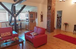 Casa individuala 415,49 mp, teren 818 mp, Piata Cluj