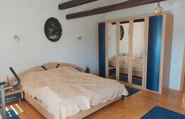 Casa individuala 415,49 mp, teren 818 mp, Piata Cluj