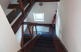 Casa individuala 415,49 mp, teren 818 mp, Piata Cluj