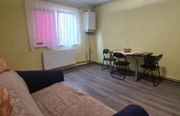 Garsoniera 27 mp, etaj intermediar, zona Stefan cel Mare