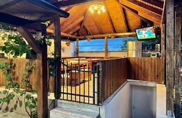 Casa individuala, 4 camere, 300 mp teren, Piata Cluj