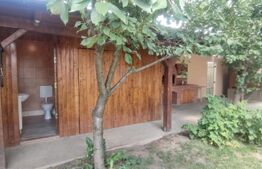 Casa individuala, 4 camere, 300 mp teren, Piata Cluj