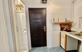 Garsoniera de 22mp, etaj intermediar, zona Stefan cel Mare