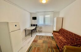 Garsoniera de 22mp, etaj intermediar, zona Stefan cel Mare