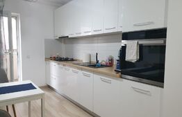 Apartament 2 camere, decomandat, 50 mp, 42 mp curte, zona Arhitectilor.