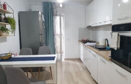 Apartament 2 camere, decomandat, 50 mp, 42 mp curte, zona Arhitectilor.
