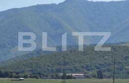 Casa 2 camere, 1474 mp teren, Tocile