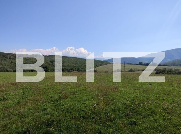 Casa de vânzare 2 camere Exterior Sud - 96272CV | BLITZ Sibiu | Poza11