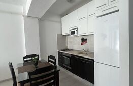 Apartament modern, 2 camere, Doamna Stanca