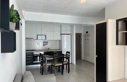 Apartament modern, 2 camere, Doamna Stanca