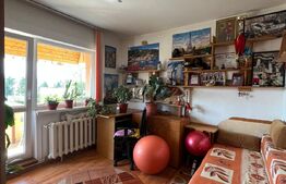 Apartament 3 camere, 60 mp, balcon, Calea Poplacii