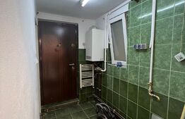 Garsoniera 23 mp, curte, Broscarie