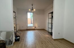 Garsoniera 23 mp, curte, Broscarie