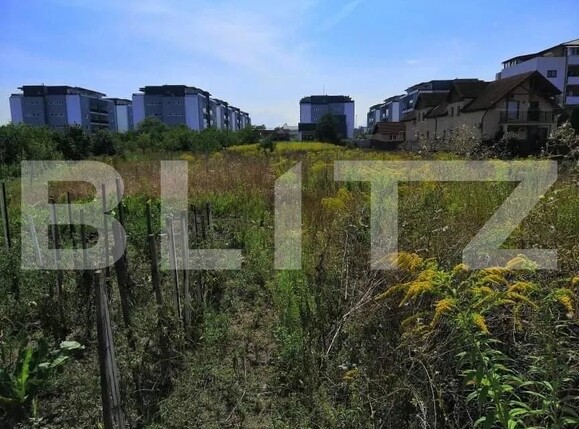 Casa de vânzare 3 camere Turnisor - 96537CV | BLITZ Sibiu | Poza4