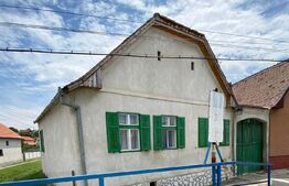 Casa individuala, 4 camere, 1350 mp teren, Sura Mare