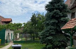 Casa individuala, 4 camere, 1350 mp teren, Sura Mare