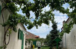 Casa individuala, 4 camere, 1350 mp teren, Sura Mare