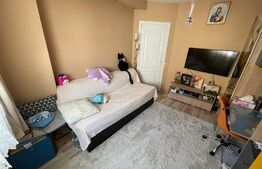 Apartament 2 camere, 42 mp, etaj intermediar, zona Broscarie