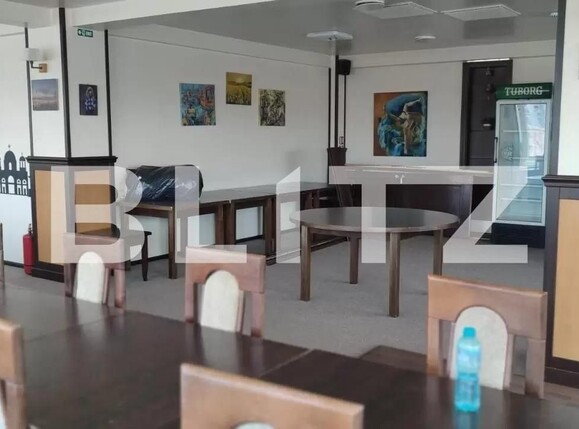 Spațiu comercial de vânzare Cedonia - 97844SVC | BLITZ Sibiu | Poza3