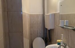 Garsoniera de 18 mp, etajul 2, cartier Terezian 