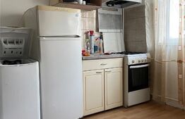 Garsoniera de 18 mp, etajul 2, cartier Terezian 