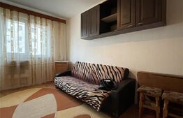 Garsoniera de 18 mp, etajul 2, cartier Terezian 